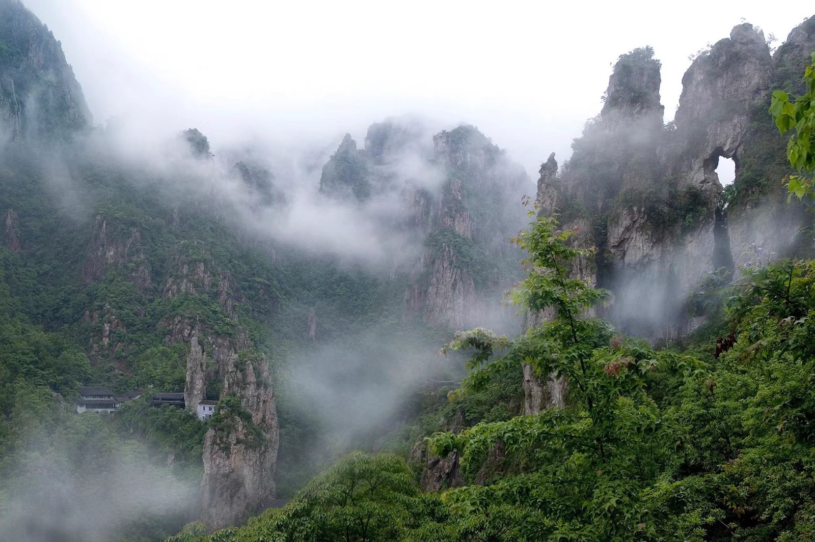 1688004439377174.jpg 平阳南雁荡山项目.jpg